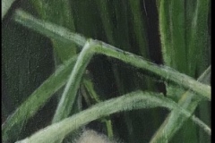 4D6CCACE-B636-4B07-9F5C-CD800A3305EA