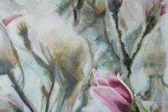 69B60828-7A91-4262-AD80-1DF990DC8D4B